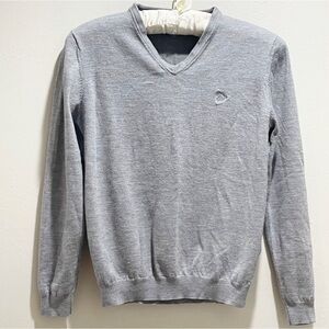 ROY ROBSON Men’s Gray V-Neck Merino Wool SHAPE FIT Pull Over Sweater Size Large